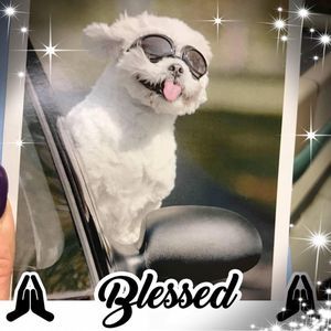 Meet your Posher, Madeline